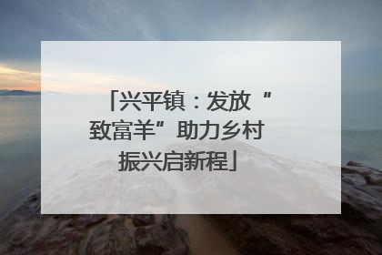 兴平镇：发放“致富羊”助力乡村振兴启新程