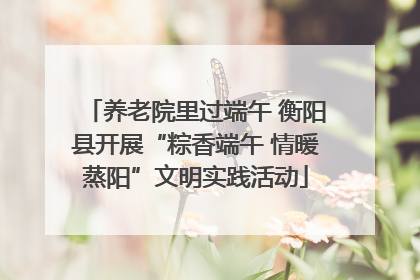 养老院里过端午 衡阳县开展“粽香端午 情暖蒸阳”文明实践活动