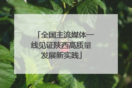 全国主流媒体一线见证陕西高质量发展新实践