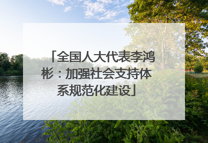 全国人大代表李鸿彬：加强社会支持体系规范化建设
