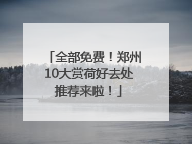 全部免费！郑州10大赏荷好去处推荐来啦！