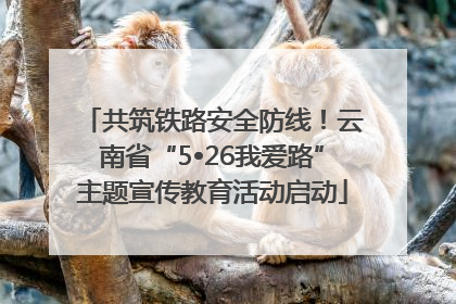 共筑铁路安全防线！云南省“5•26我爱路”主题宣传教育活动启动