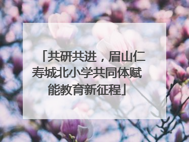 共研共进，眉山仁寿城北小学共同体赋能教育新征程