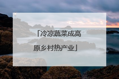 冷凉蔬菜成高原乡村热产业