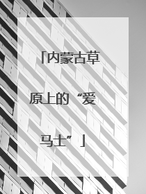 内蒙古草原上的“爱马士”