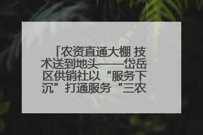 农资直通大棚 技术送到地头——岱岳区供销社以“服务下沉”打通服务“三农”最后一公里