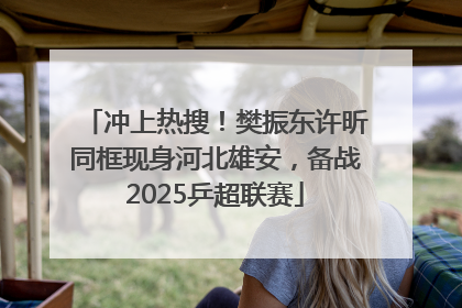 冲上热搜！樊振东许昕同框现身河北雄安，备战2025乒超联赛