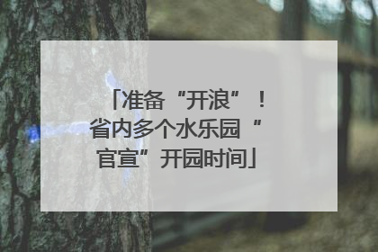 准备“开浪”！省内多个水乐园“官宣”开园时间