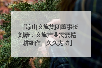 凉山文旅集团董事长刘康：文旅产业需要精耕细作、久久为功