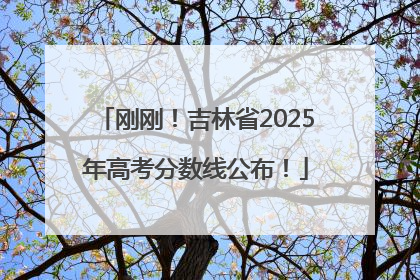 刚刚！吉林省2025年高考分数线公布！