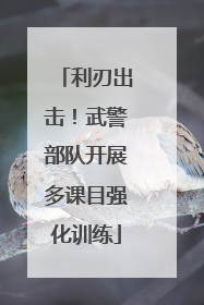 利刃出击！武警部队开展多课目强化训练