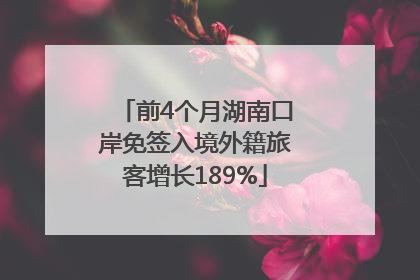 前4个月湖南口岸免签入境外籍旅客增长189%
