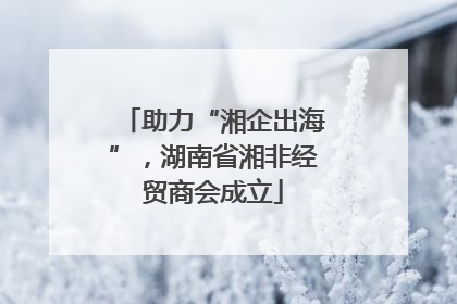 助力“湘企出海”，湖南省湘非经贸商会成立
