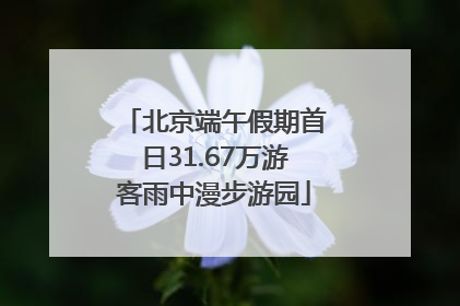 北京端午假期首日31.67万游客雨中漫步游园