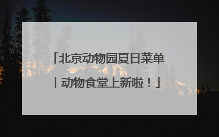 北京动物园夏日菜单丨动物食堂上新啦！