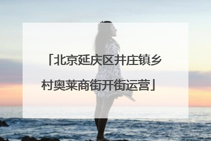 北京延庆区井庄镇乡村奥莱商街开街运营