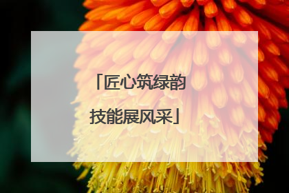 匠心筑绿韵 技能展风采