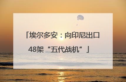 埃尔多安：向印尼出口48架“五代战机”
