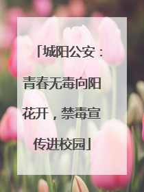 城阳公安：青春无毒向阳花开，禁毒宣传进校园