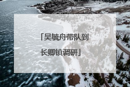 吴毓舟带队到长卿镇调研