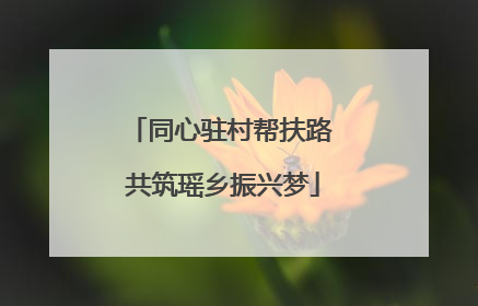 同心驻村帮扶路 共筑瑶乡振兴梦
