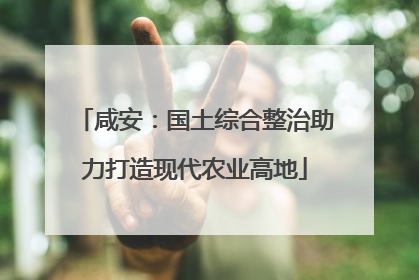 咸安：国土综合整治助力打造现代农业高地