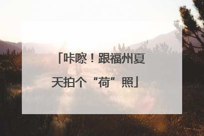 咔嚓！跟福州夏天拍个“荷”照