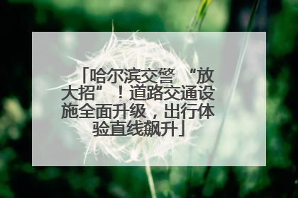 哈尔滨交警 “放大招”！道路交通设施全面升级，出行体验直线飙升