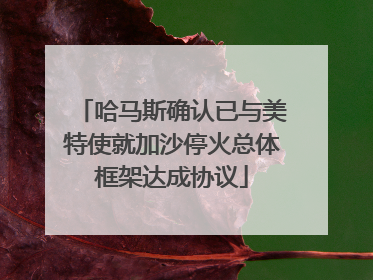 哈马斯确认已与美特使就加沙停火总体框架达成协议