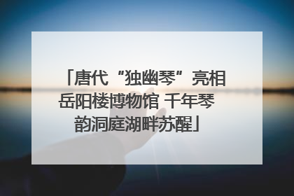 唐代“独幽琴”亮相岳阳楼博物馆 千年琴韵洞庭湖畔苏醒