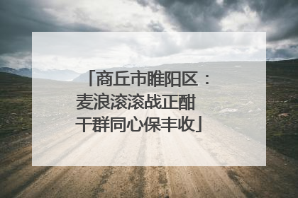 商丘市睢阳区：麦浪滚滚战正酣 干群同心保丰收