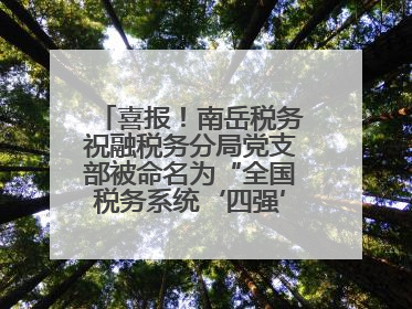 喜报！南岳税务祝融税务分局党支部被命名为“全国税务系统‘四强’党支部”