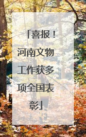 喜报！河南文物工作获多项全国表彰