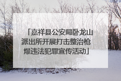 嘉祥县公安局卧龙山派出所开展打击整治枪爆违法犯罪宣传活动