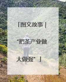 图文故事｜“把茶产业做大做强”