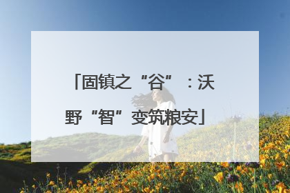 固镇之“谷”：沃野“智”变筑粮安