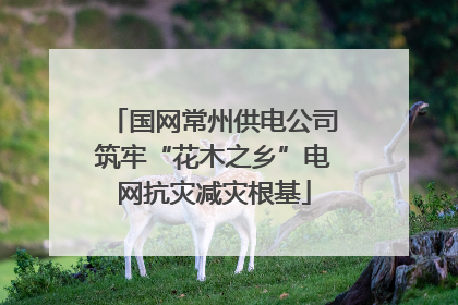 国网常州供电公司筑牢“花木之乡”电网抗灾减灾根基
