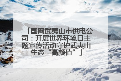 国网武夷山市供电公司：开展世界环境日主题宣传活动守护武夷山生态“高颜值”