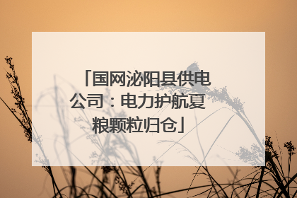 国网泌阳县供电公司：电力护航夏粮颗粒归仓