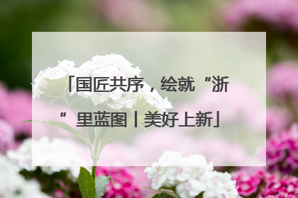 国匠共序，绘就“浙”里蓝图丨美好上新