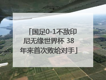 国足0-1不敌印尼无缘世界杯 38年来首次败给对手