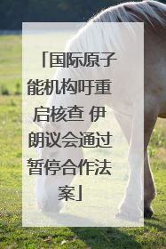 国际原子能机构吁重启核查 伊朗议会通过暂停合作法案