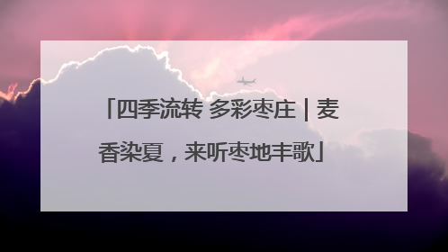 四季流转 多彩枣庄｜麦香染夏，来听枣地丰歌
