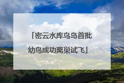密云水库鸟岛首批幼鸟成功离巢试飞