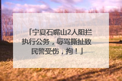 宁夏石嘴山2人阻拦执行公务，辱骂撕扯致民警受伤，拘！