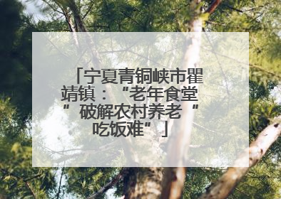 宁夏青铜峡市瞿靖镇：“老年食堂”破解农村养老“吃饭难”
