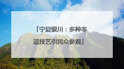 宁夏银川：多种非遗技艺引民众参观