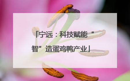 宁远：科技赋能“智”造蛋鸡鸭产业