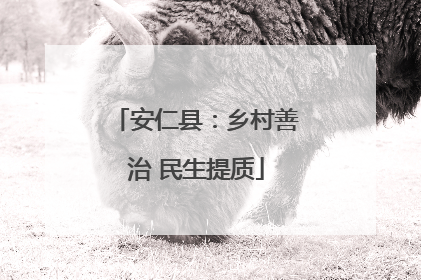 安仁县：乡村善治 民生提质
