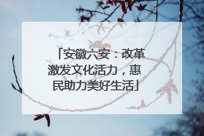 安徽六安：改革激发文化活力，惠民助力美好生活